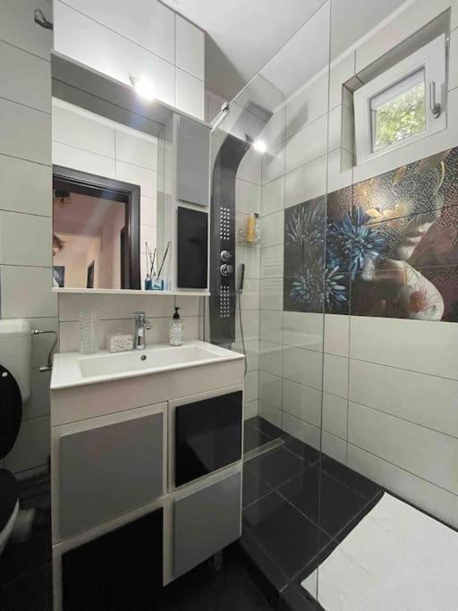 Apartament Zona Centrala Punctele Cardinale -Take Ionescu Timisoara Apartment Exterior foto